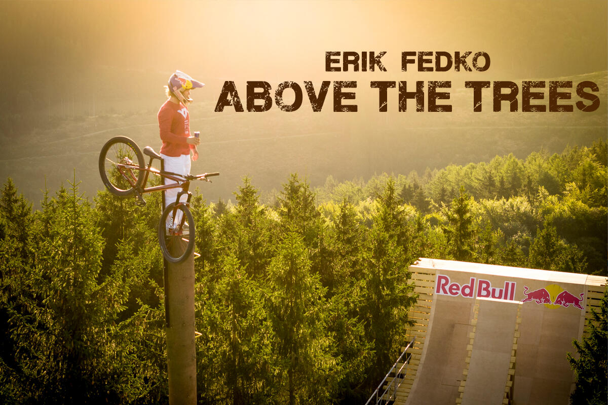 Above the trees - Erik Fedko